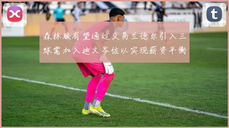 森林狼有望通过交易兰德尔引入三球需加入迪文岑佐以实现薪资平衡